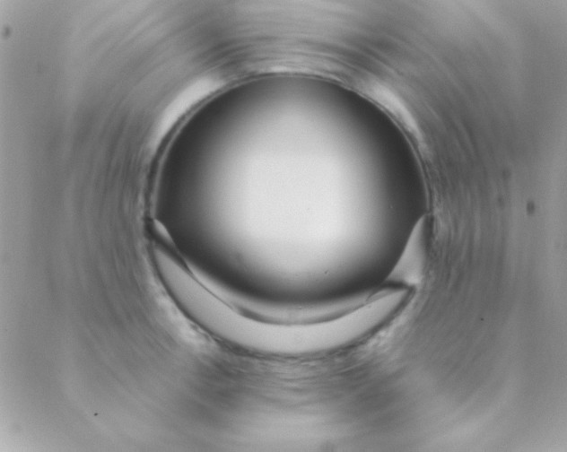 X0000088661138200706152026