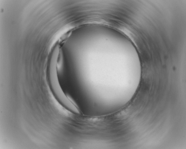 X0000088661139200706152026