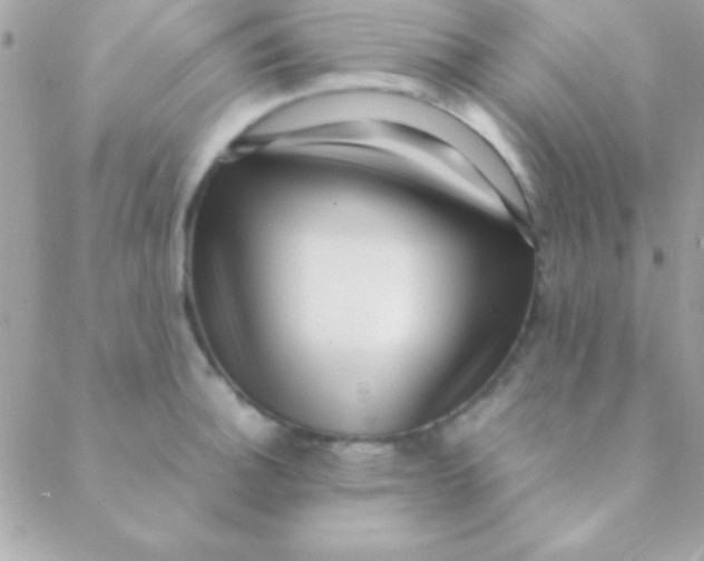 X0000088661140200706152026