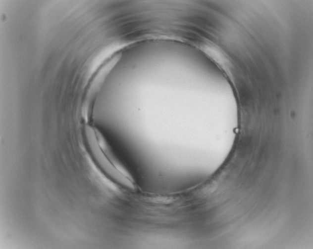 X0000088661141200706152026