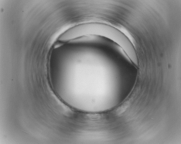 X0000088661142200706152026