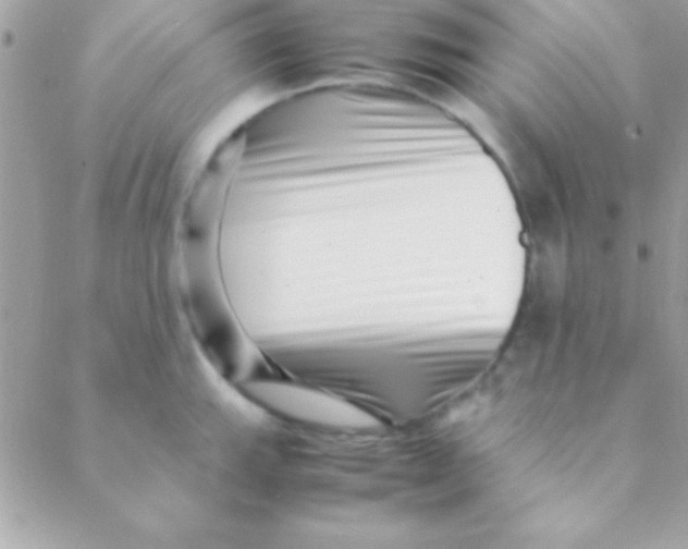 X0000088661143200706152026