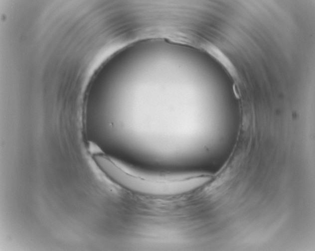 X0000088661144200706152026