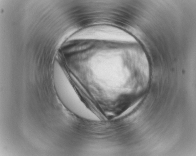 X0000088661145200706152026