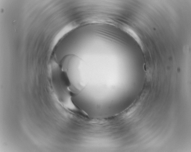 X0000088661146200706152026