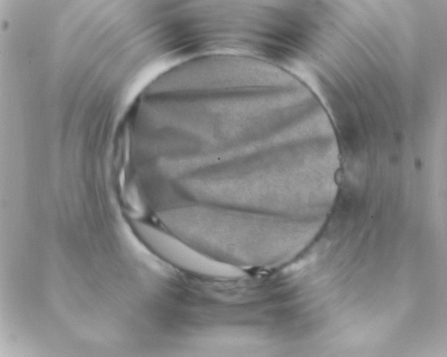 X0000088661147200706152026