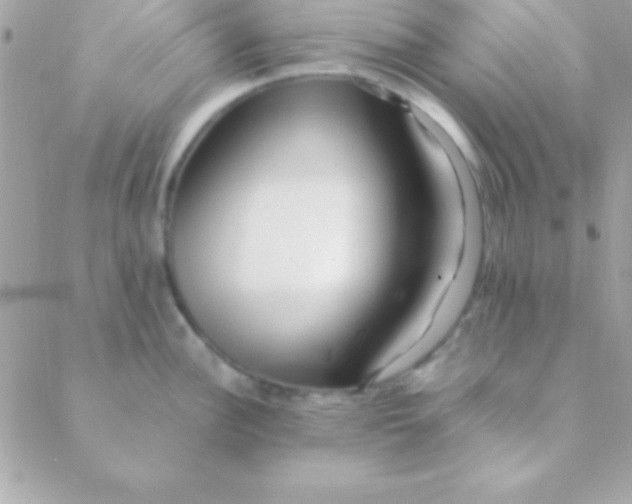 X0000088661148200706152026