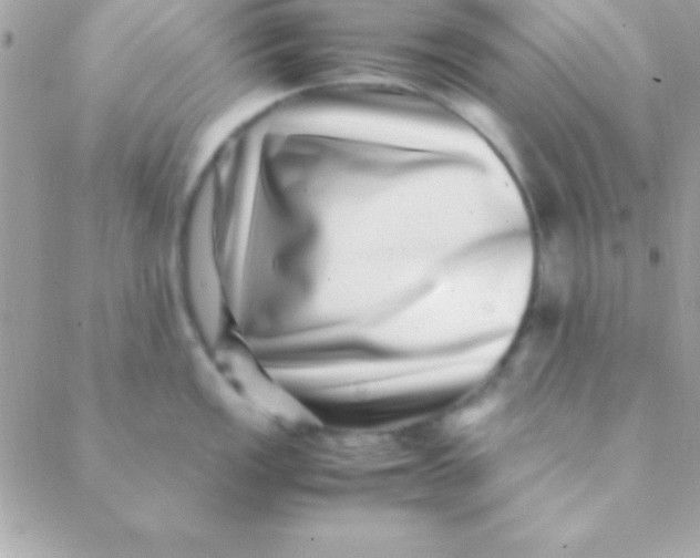 X0000088661149200706152026