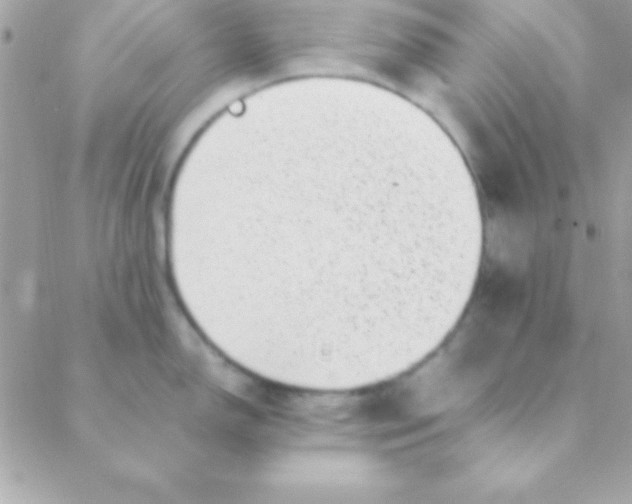 X0000088661150200706152026