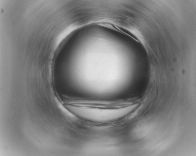 X0000088661151200706152026