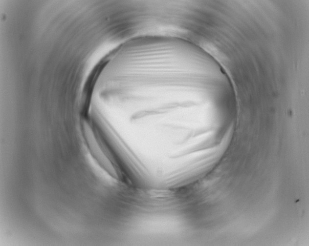 X0000088661152200706152026