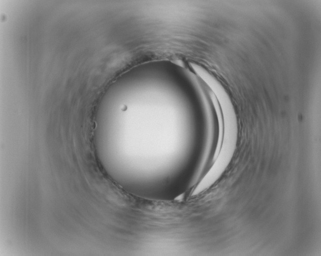 X0000088661153200706152025