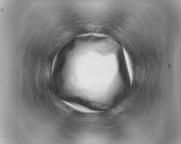 X0000088661154200706152025