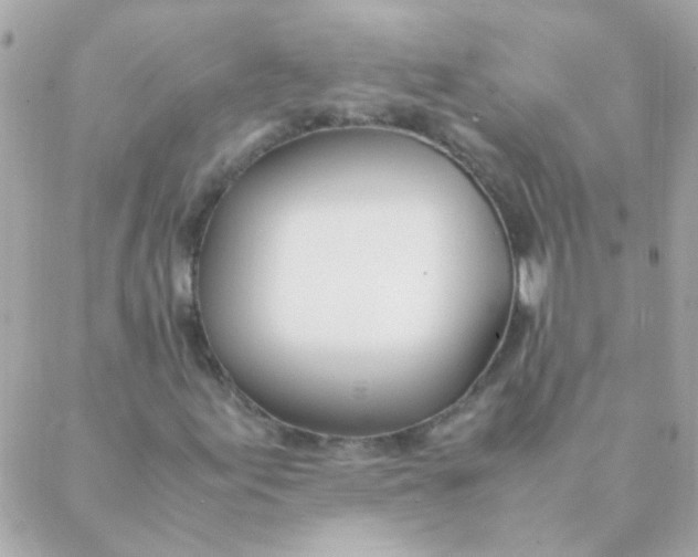 X0000088661155200706152025