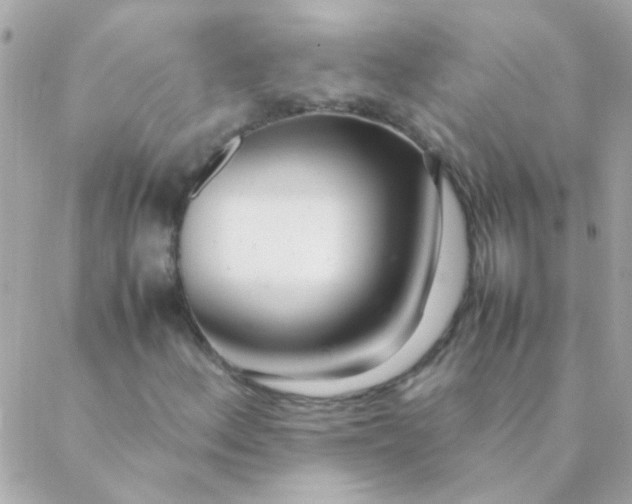 X0000088661156200706152025