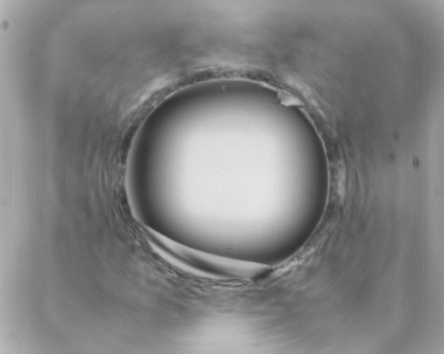 X0000088661157200706152025