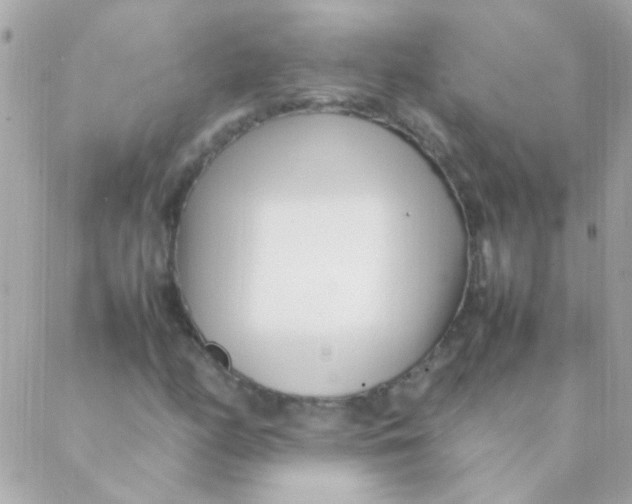 X0000088661158200706152025