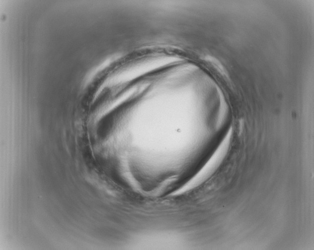 X0000088661159200706152025