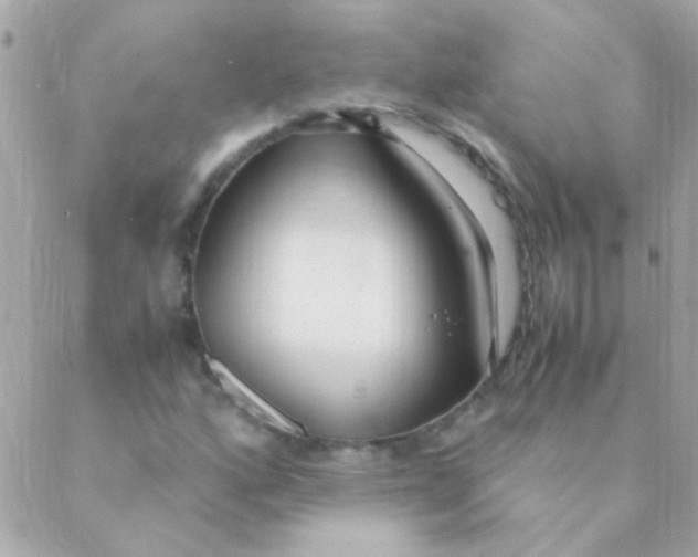 X0000088661160200706152025