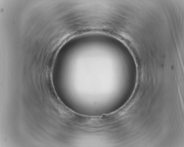 X0000088661161200706152025