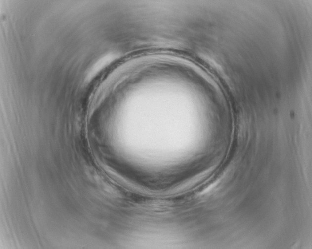 X0000088661163200706152025