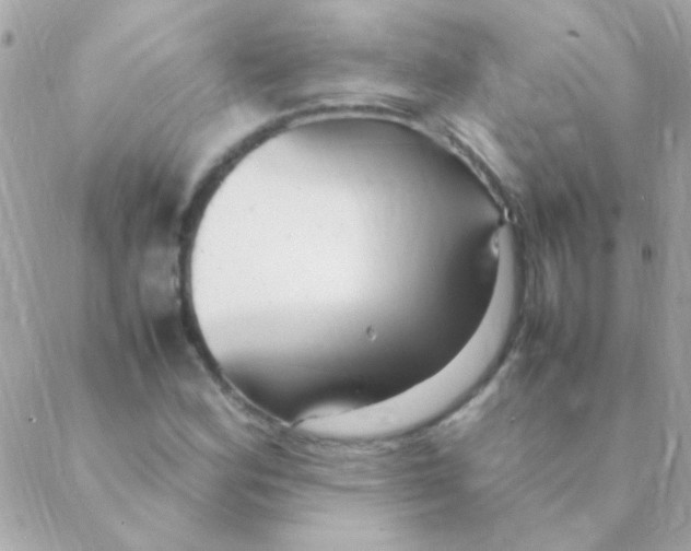 X0000088661164200706152025