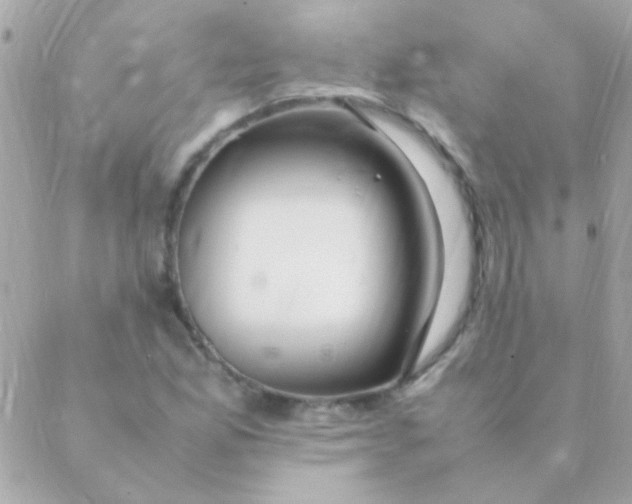 X0000088661165200706152025