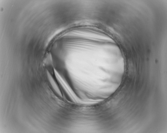 X0000088661166200706152025