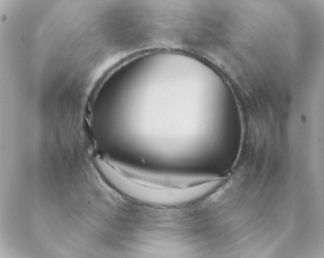 X0000088661168200706152025