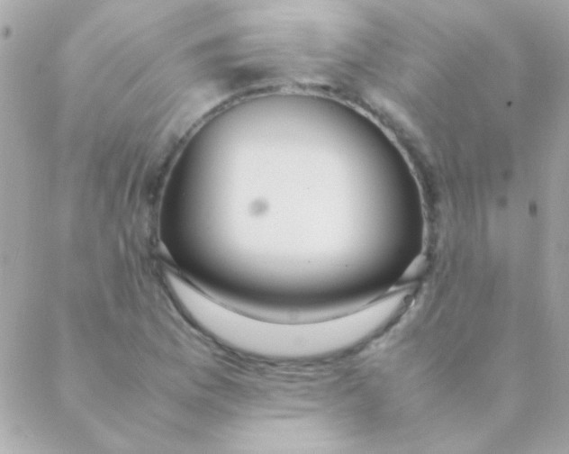 X0000088661169200706152025