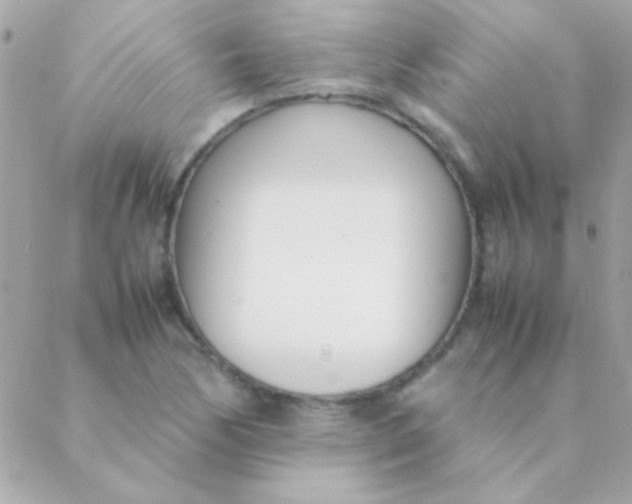 X0000088661170200706152025