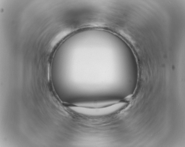 X0000088661171200706152025