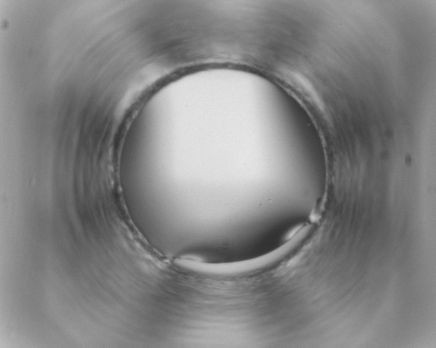 X0000088661172200706152025