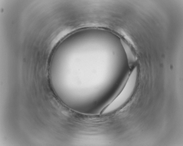 X0000088661173200706152025