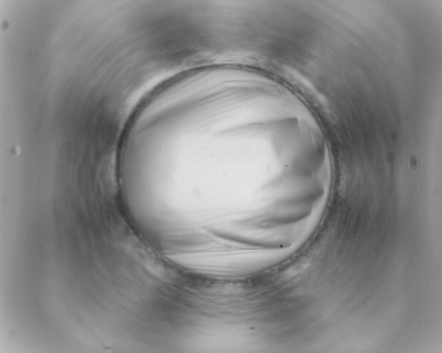 X0000088661174200706152025