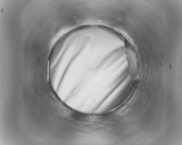 X0000088661175200706152025