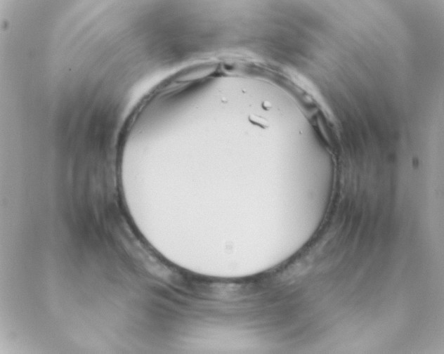 X0000088661176200706152025