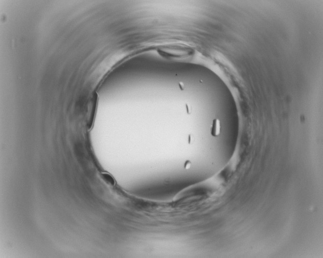 X0000088661177200706152025