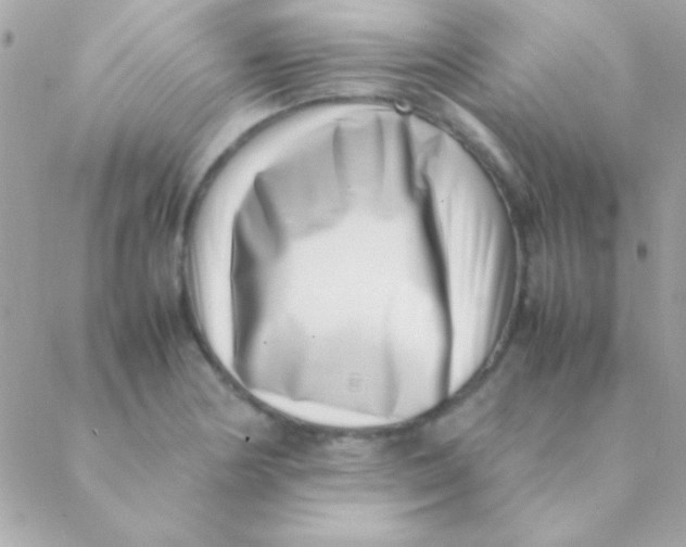 X0000088661178200706152025