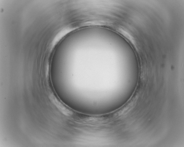 X0000088661179200706152025