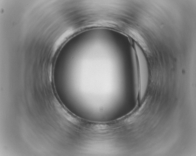 X0000088661180200706152025