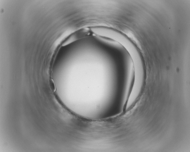 X0000088661181200706152025