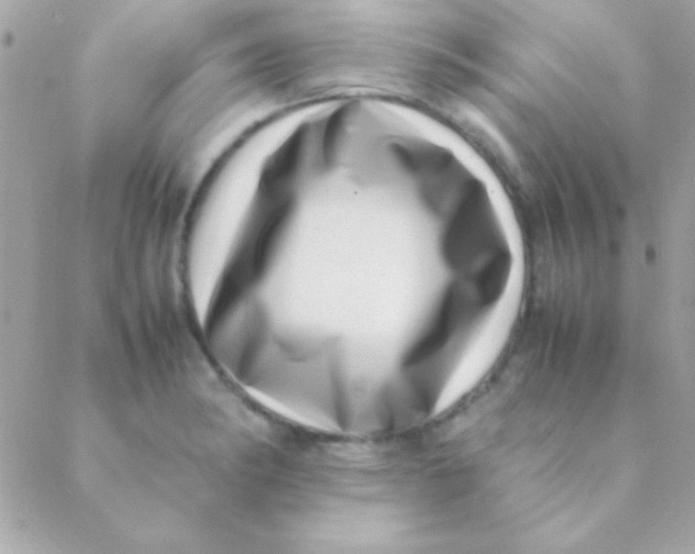 X0000088661182200706152025