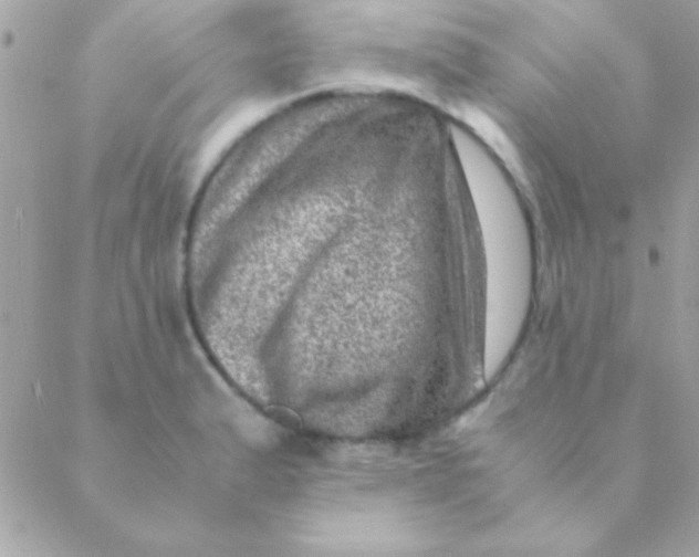 X0000088661183200706152025