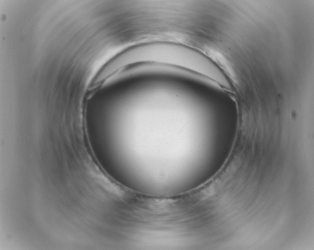 X0000088661184200706152025