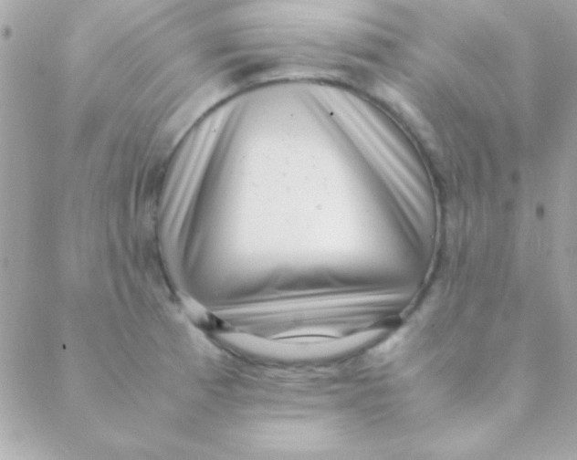 X0000088661185200706152025