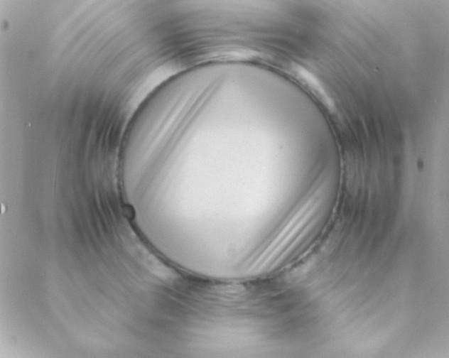 X0000088661186200706152025