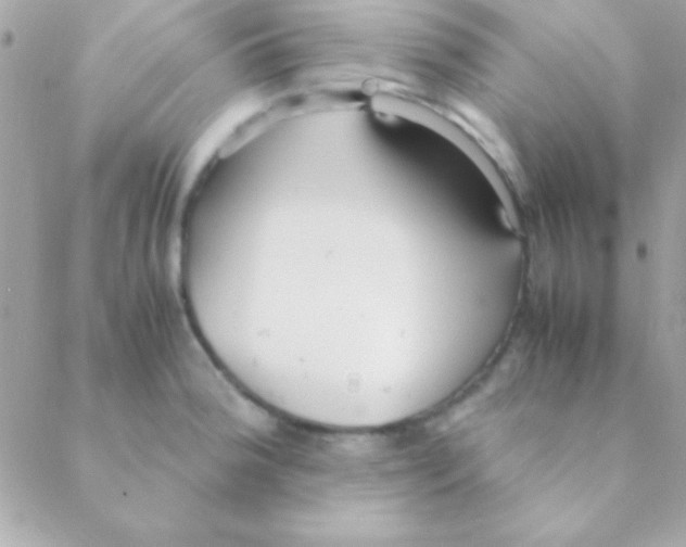 X0000088661188200706152025