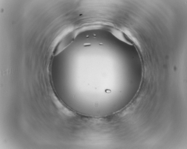 X0000088661189200706152025