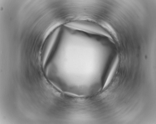 X0000088661190200706152025